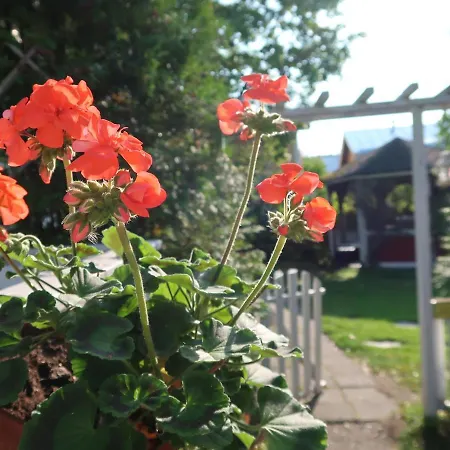 Kaivo Ξενοδοχείο με διαμερίσματα 3*