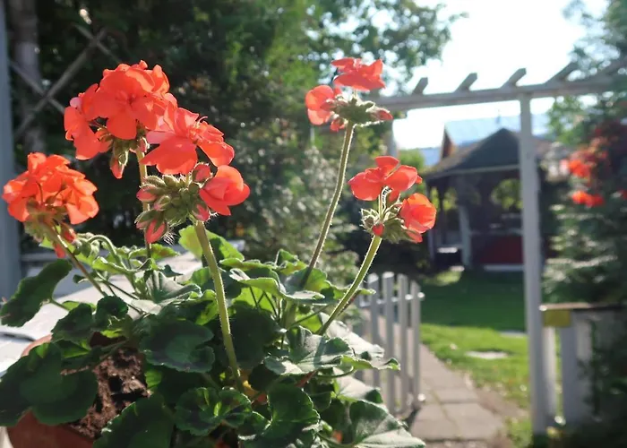 Kaivo Lägenhetshotell 3*